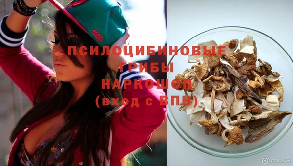индика Наволоки