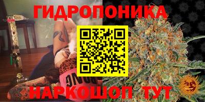а пвп мука Гатчина
