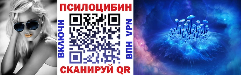 kraken ONION  где найти наркотики  Кинель  Псилоцибиновые грибы Cubensis 
