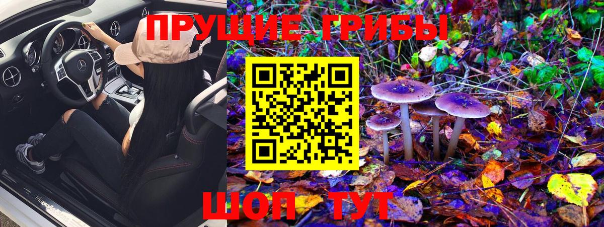 Псилоцибиновые грибы ЛСД Кинель