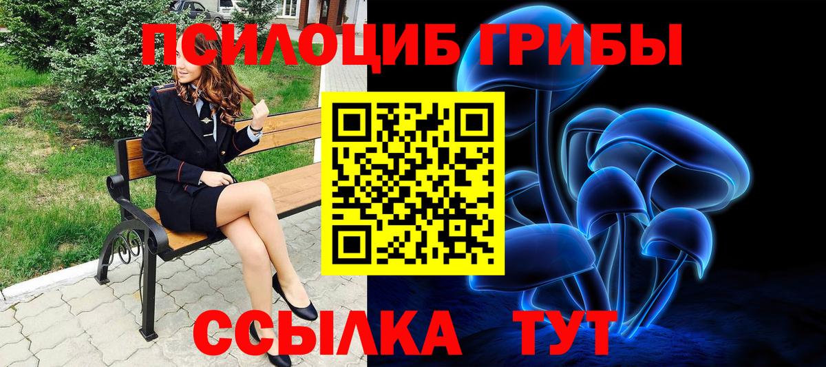 Псилоцибиновые грибы Psilocybine cubensis  Псилоцибиновые грибы Magic Shrooms  Кинель 