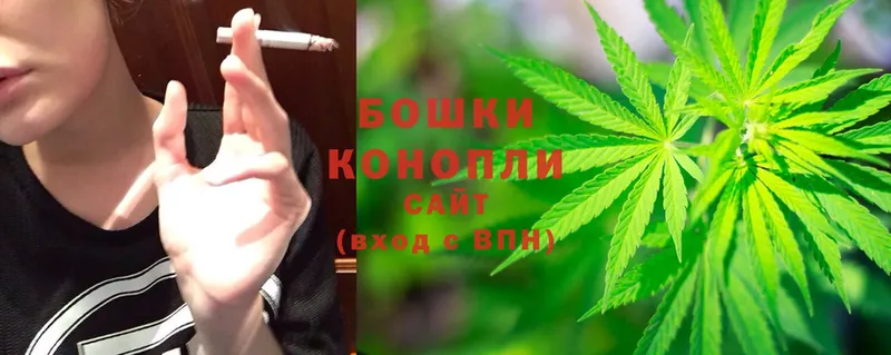 как найти   Кинель  Конопля OG Kush 